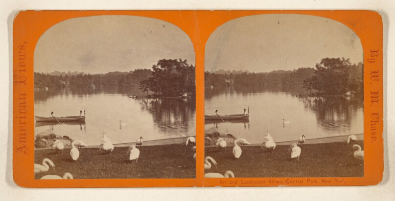 [Central Lake, Central Park, New York City]