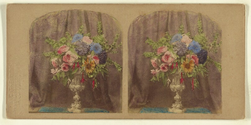 [Flower arrangement]