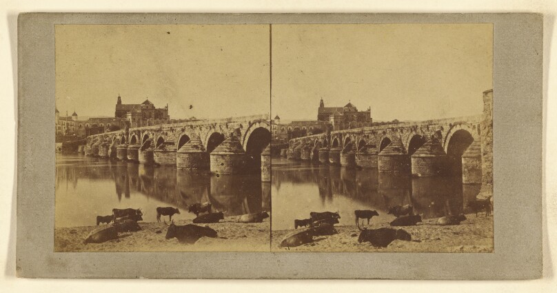 [Cordoba Mezquita y el puente]