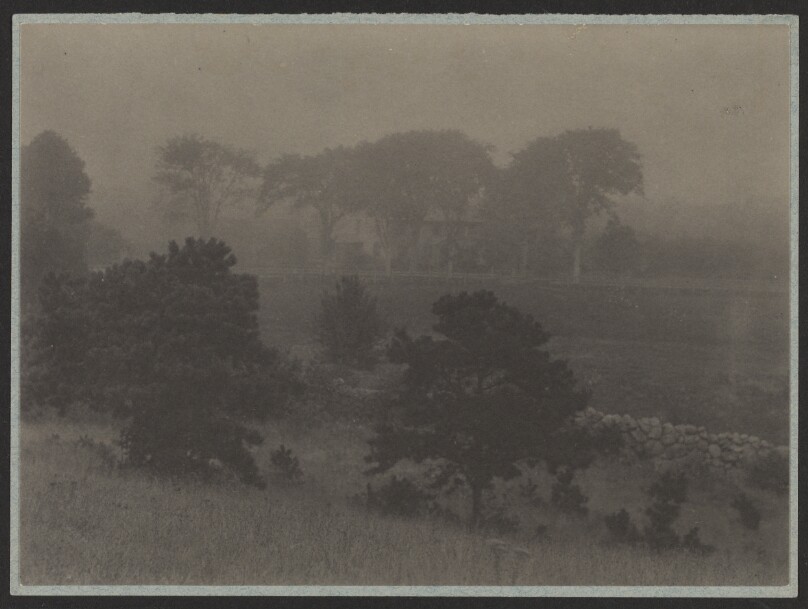 [Landscape with trees]