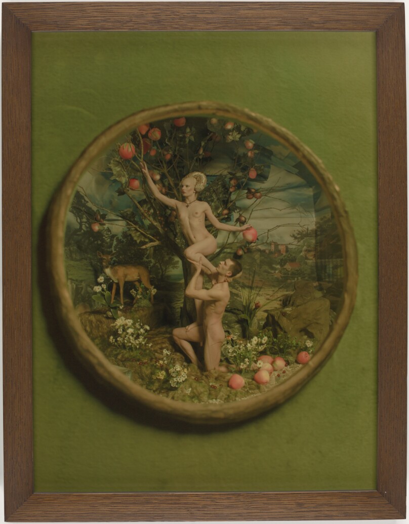 Salvia and Lewis Walker Fruit Picking, London