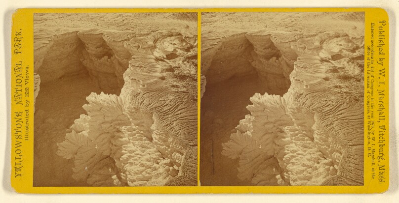 Leaf Form in Limestone. 2d View.