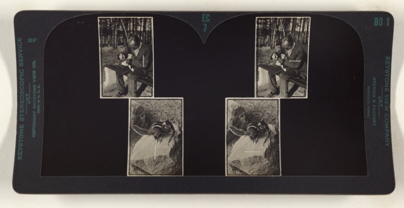 Fusing the upper pictures requires 3 1/2 prism diopters of Fusional Convergence. Changing Fixation from upper to lower pictures...
