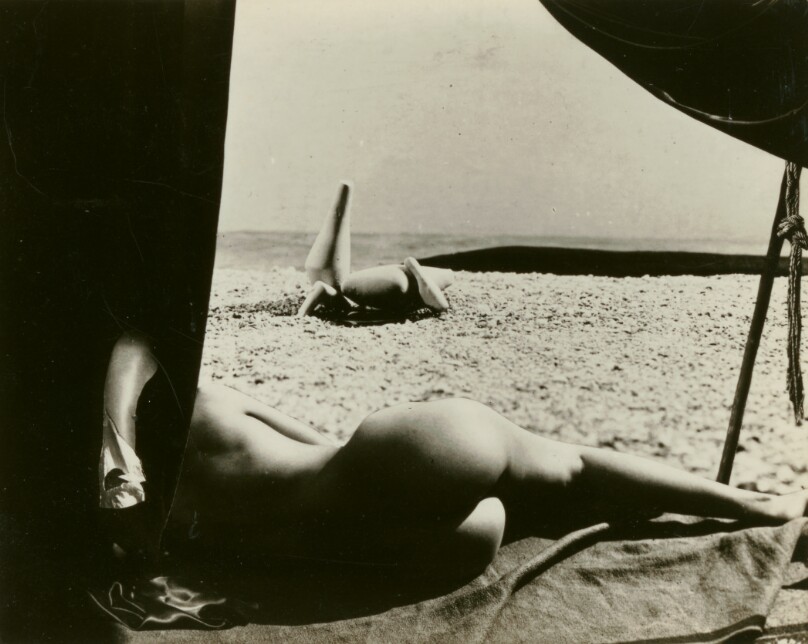 [Reclining Female Nude]