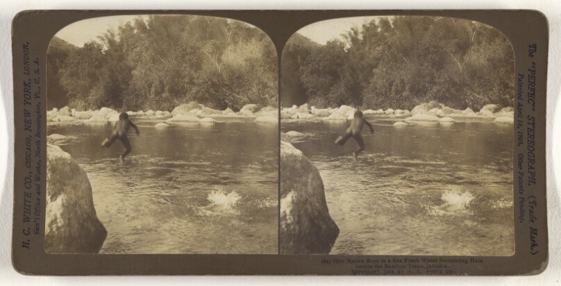 Native Boys in a fine Fresh Water Swimming Hole beside Bamboo Trees, Jamaica.