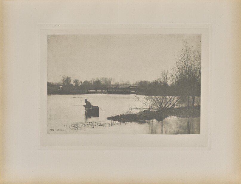 Field's Weir, Near Rye House