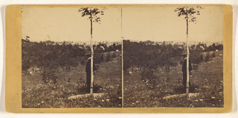 The Valley.