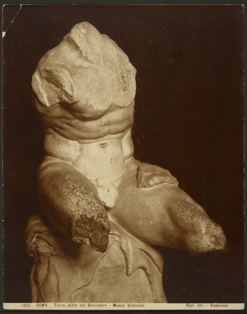 Belvedere Torso, Vatican Museum