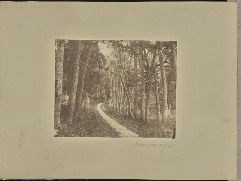 Avenue Tiendong