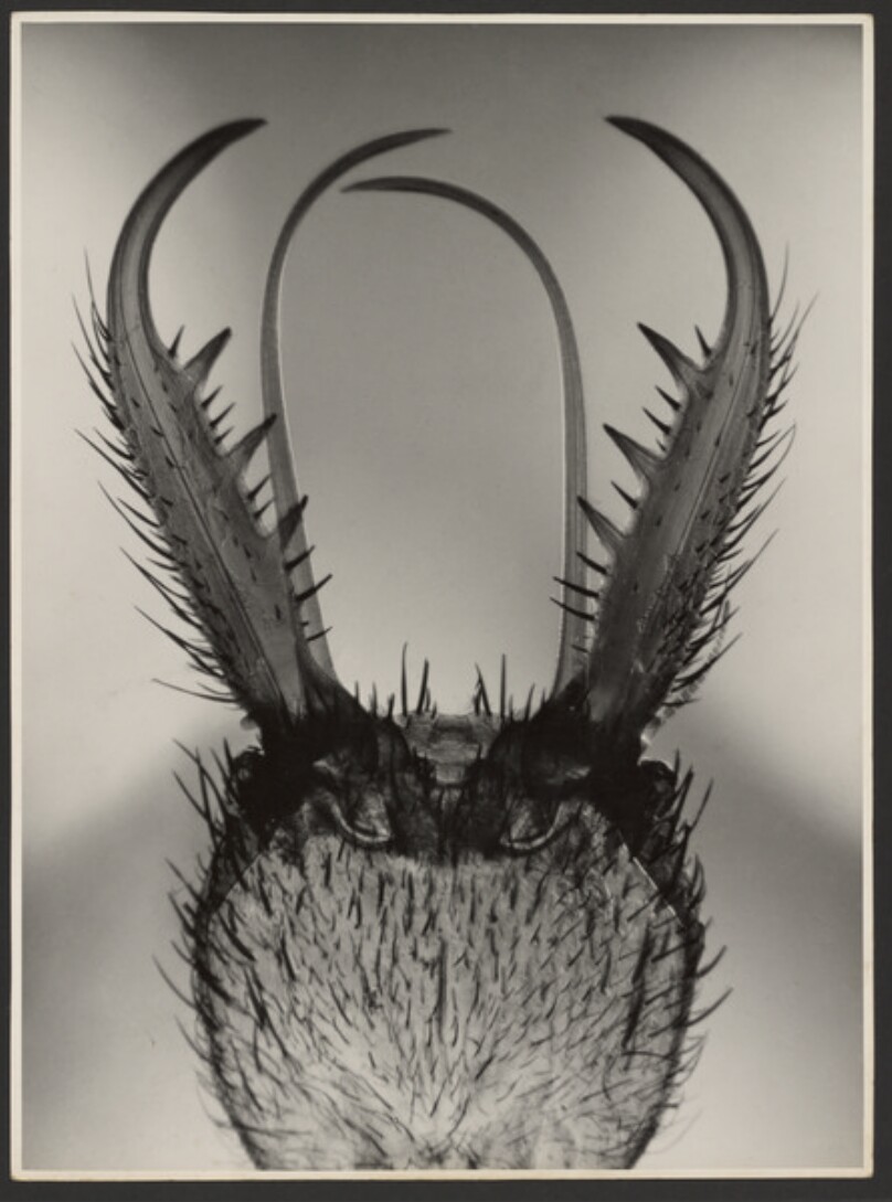 Symbolic Form: Attack