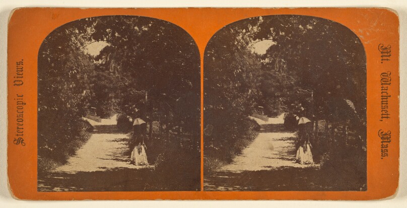Road to Mountain House. [Mt. Wachusett, Mass.]