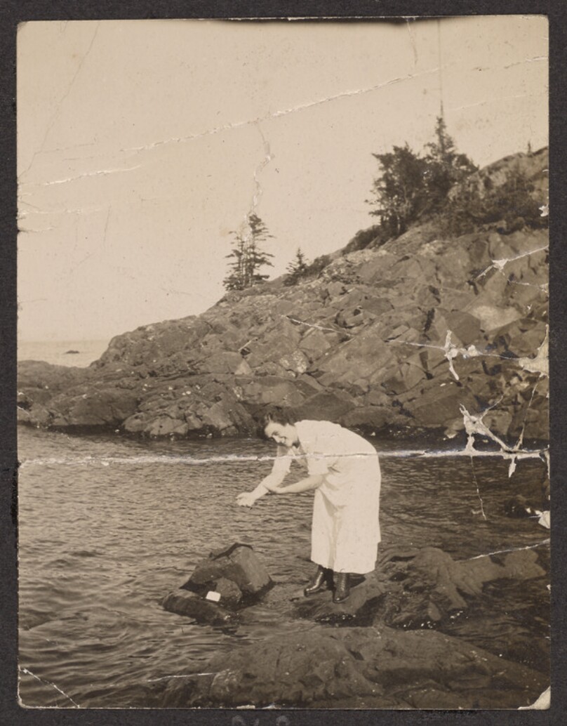 [Woman standing on a rocky shore]
