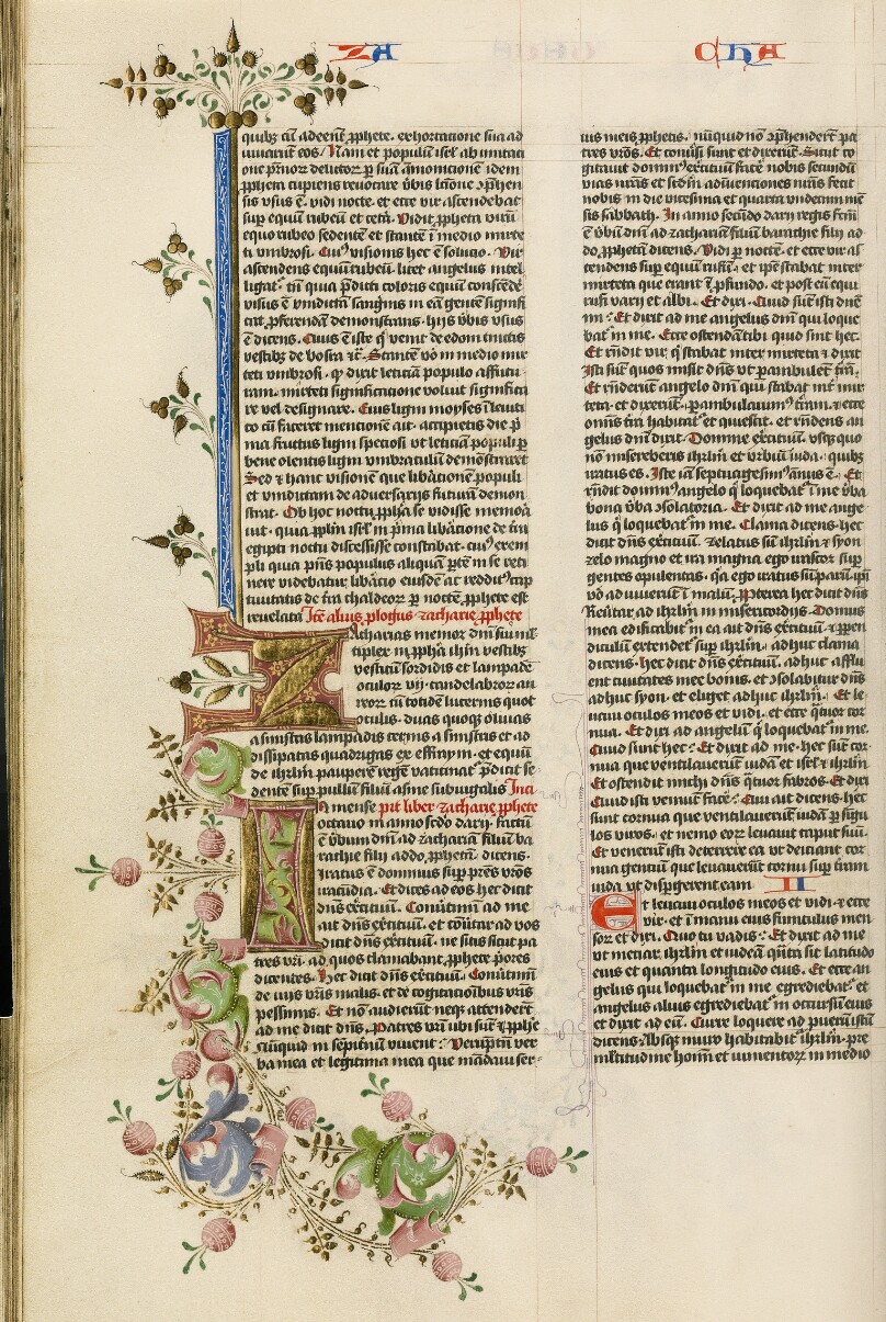 Decorated Initial Z; Decorated Initial I