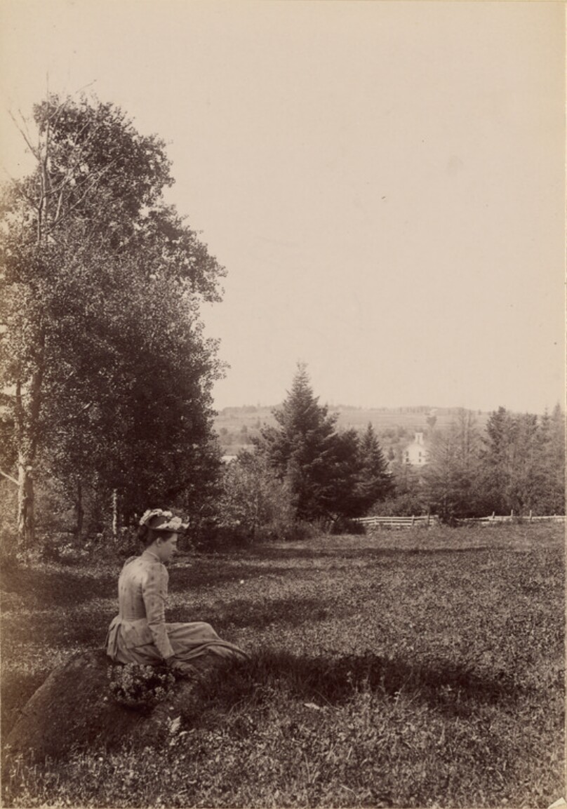 [Woman sitting in field]