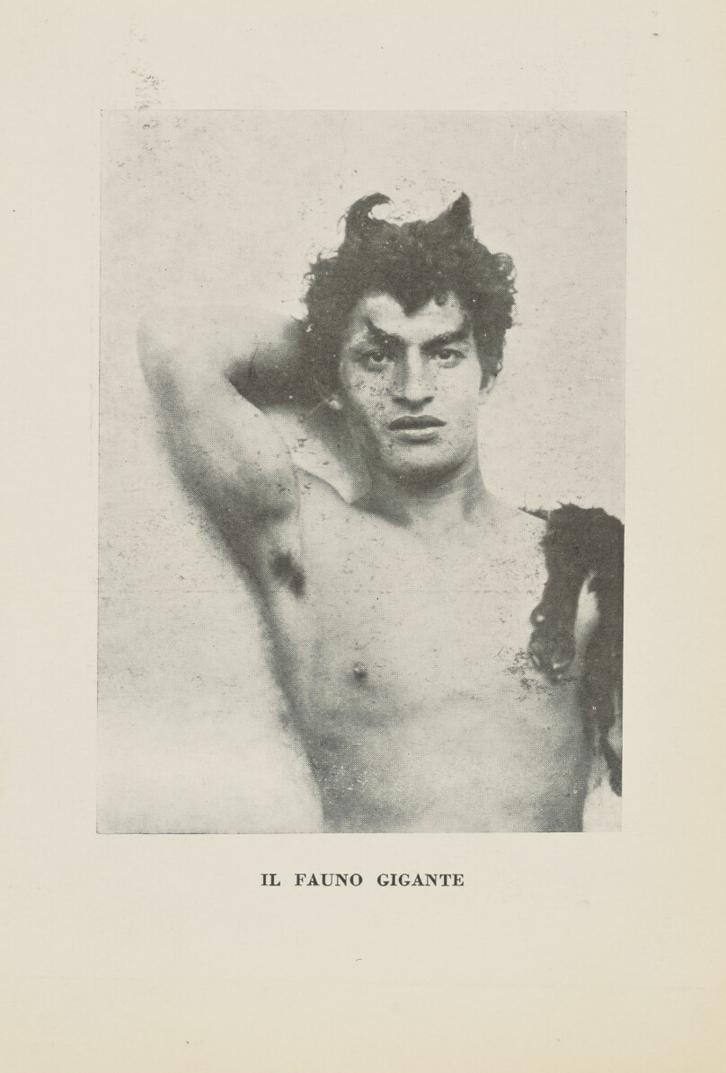 Il Fauno Gigante