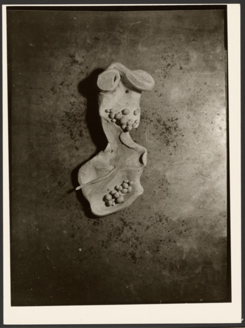 [Still life]