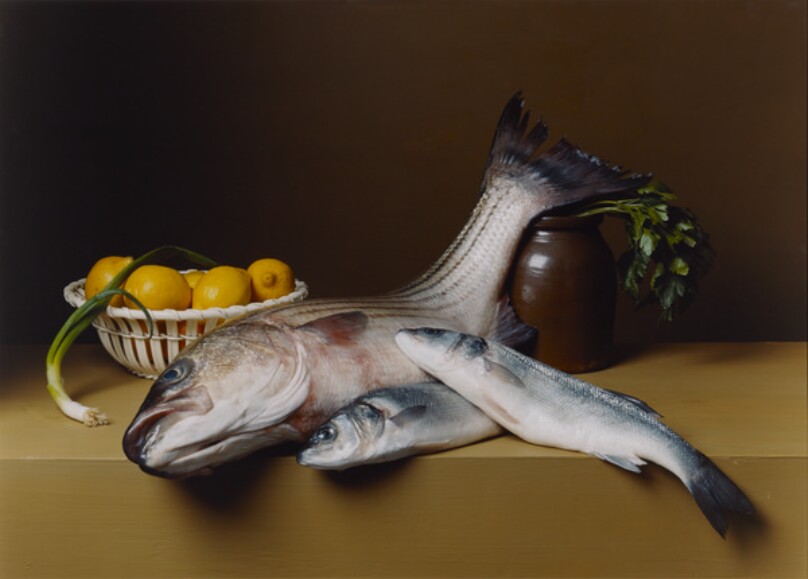 Early American, Still Life with Striped Bass