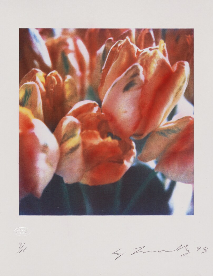Tulips III no. 2