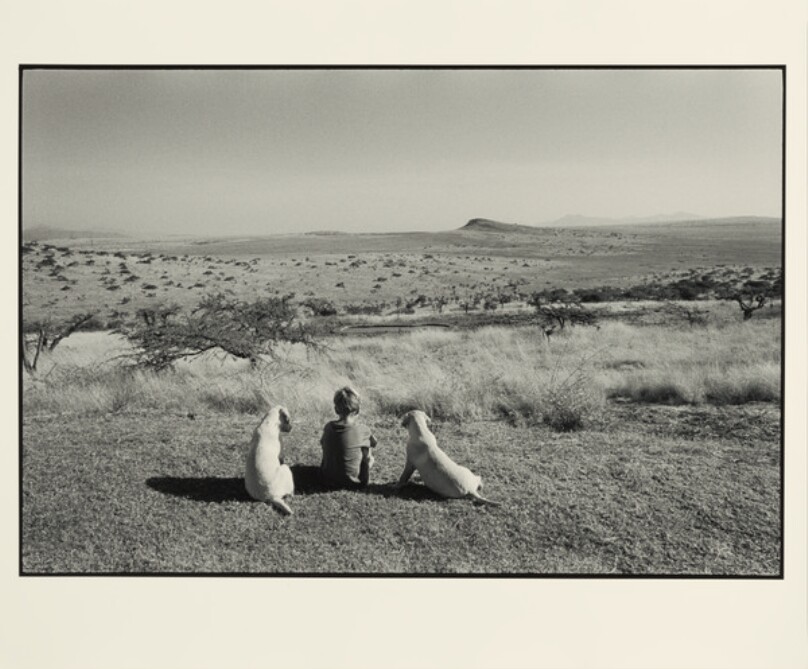 Rory Sitting with Two Dogs Overlooking Landscape, Root Family Lewa