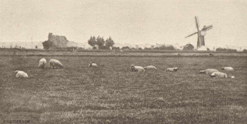 A Grey Day Pastoral