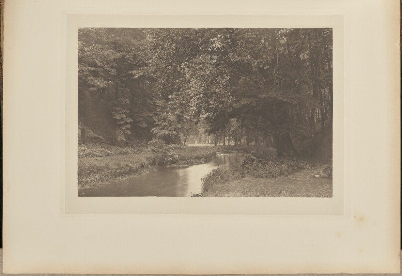 In Beresford Dale