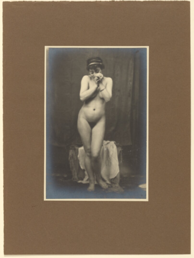 Le Modele qui Debute
