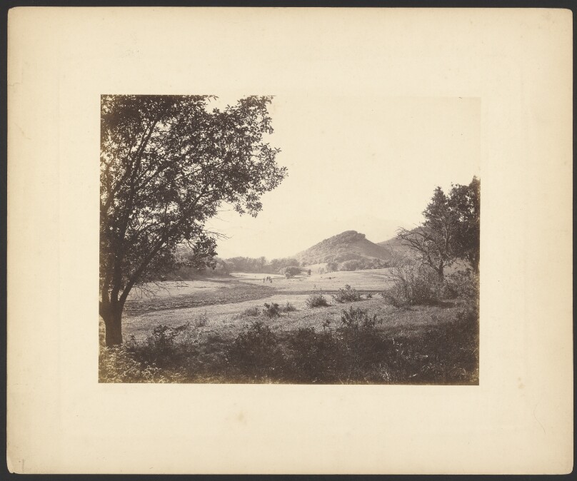 [Landscape of field]