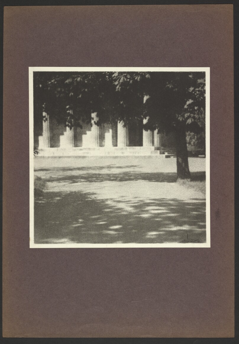 [Building covered by tree]