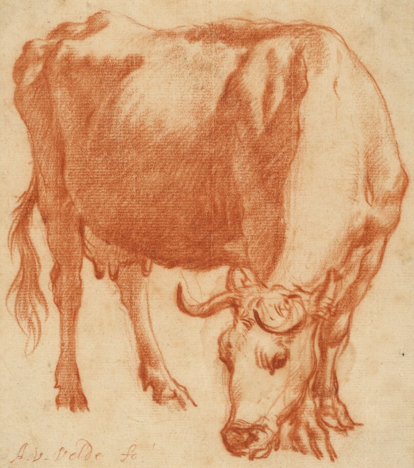 Adriaen van de Velde
