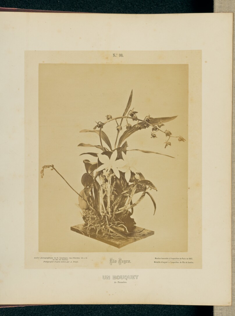Un Bouquet