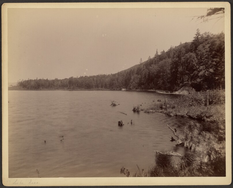 Lake Saco