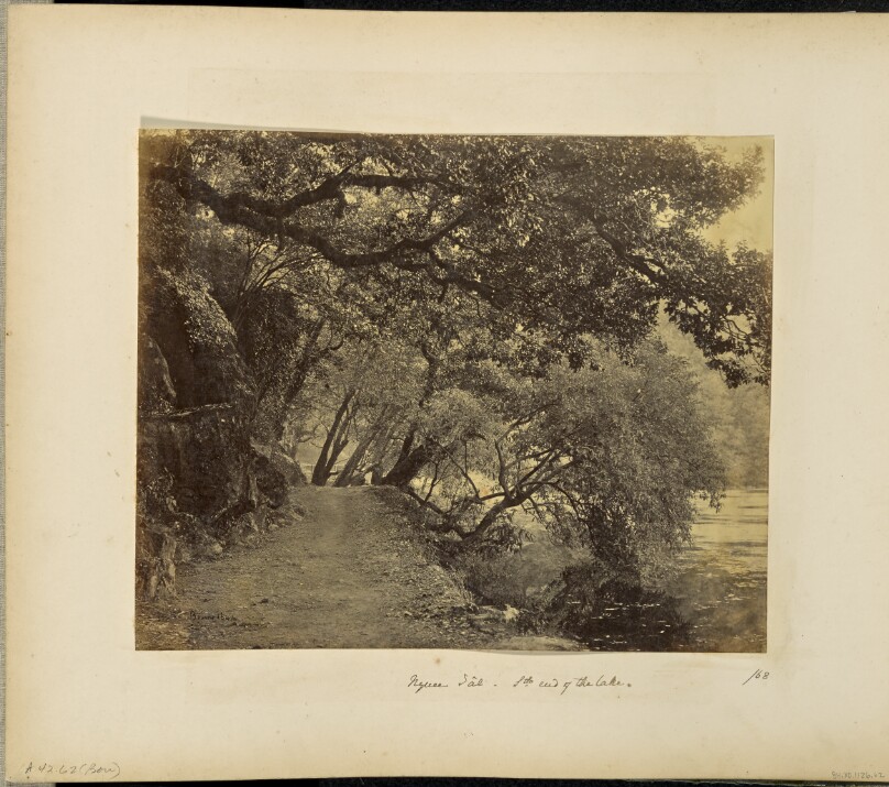 Nynee Tal; Willows and Rocks at the South end of the Lake