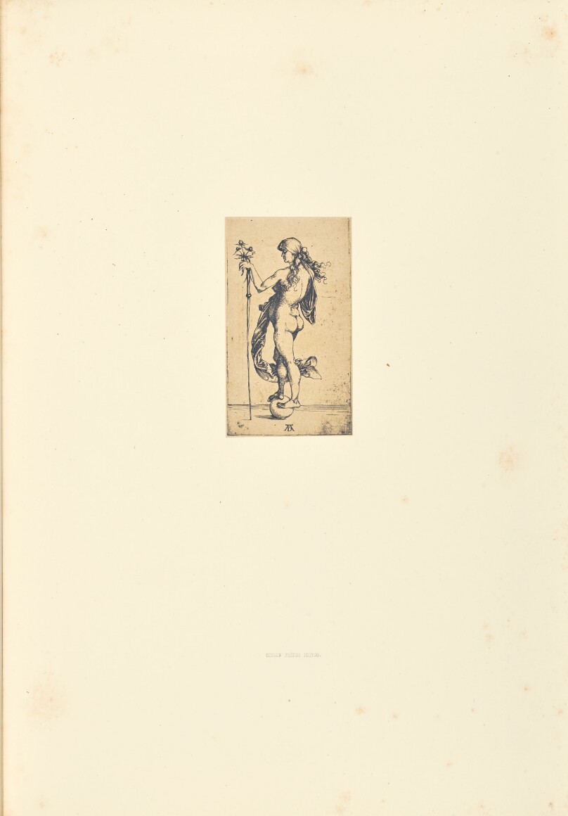 La Petit fortune