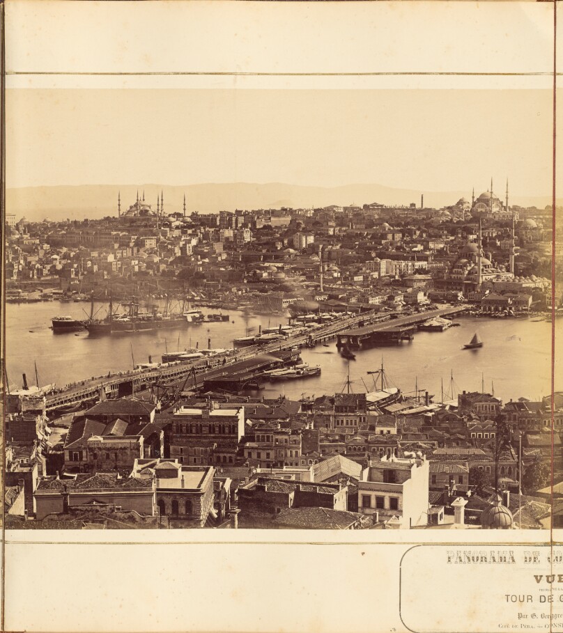[Plate 7]