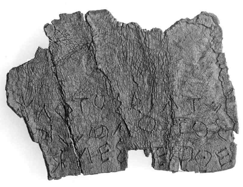 Lamella Fragment