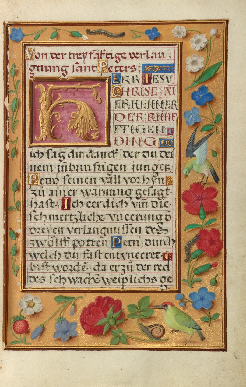 Decorated Text Page