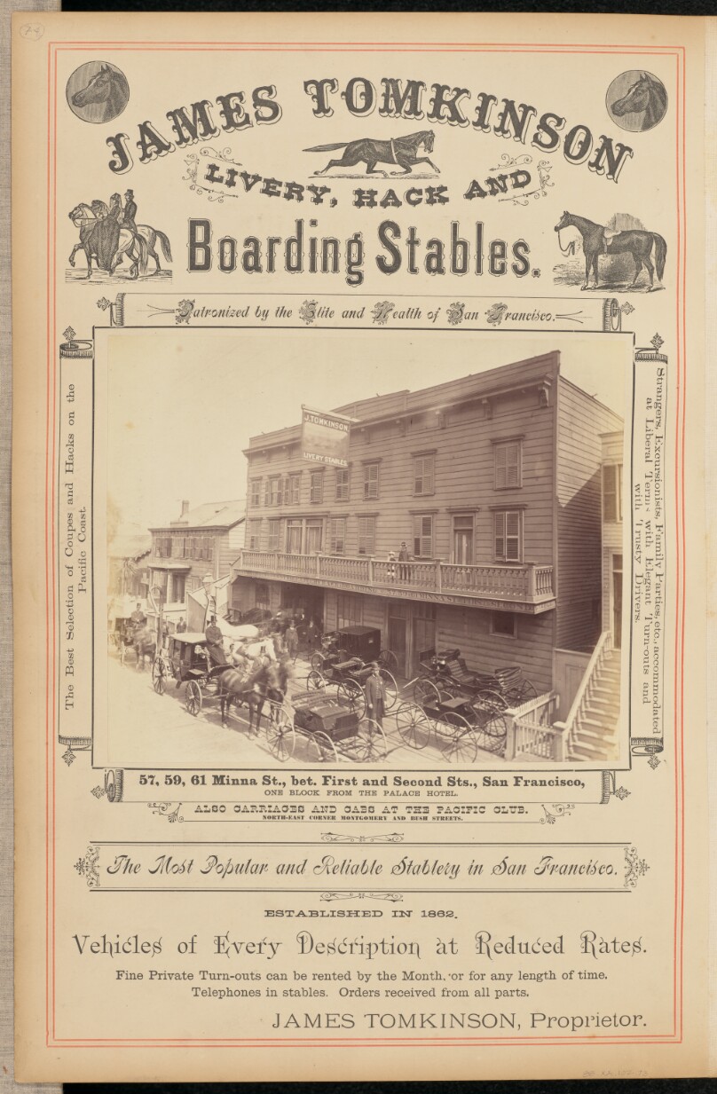 [James Tomkinson Livery, Hack and Boarding Stables, San Francisco]