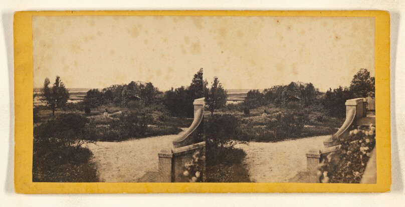 [Dr. Jenkins' Garden, Beaufort, South Carolina (?)]