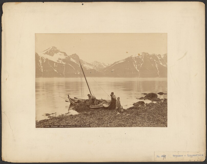 Tromsö Amt, Lyngenfjord ved Spaagnæs
