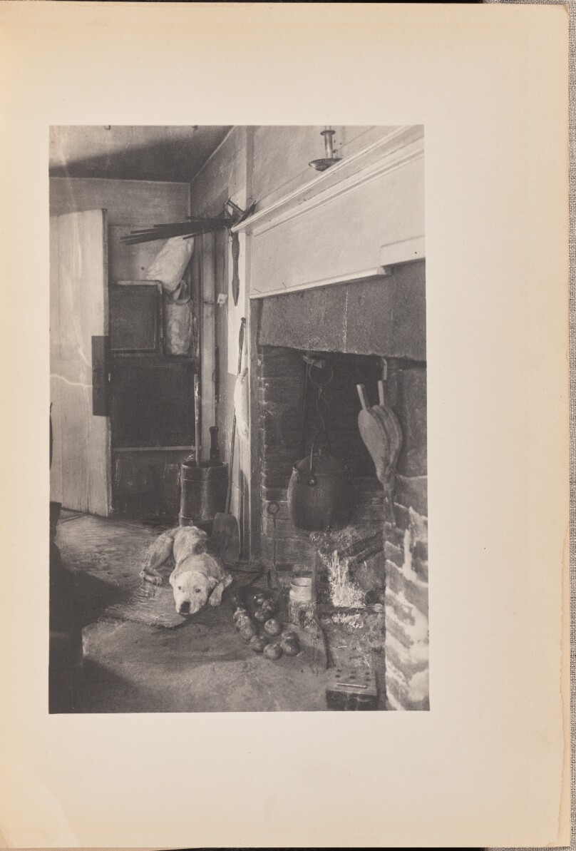 "The house-dog on his paws outspread, Laid to the fire his drowsy head"