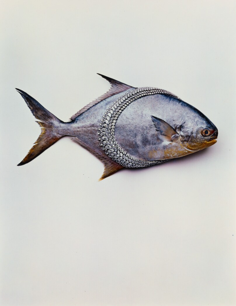Van Cleef & Arpels Necklace with Fish, New York