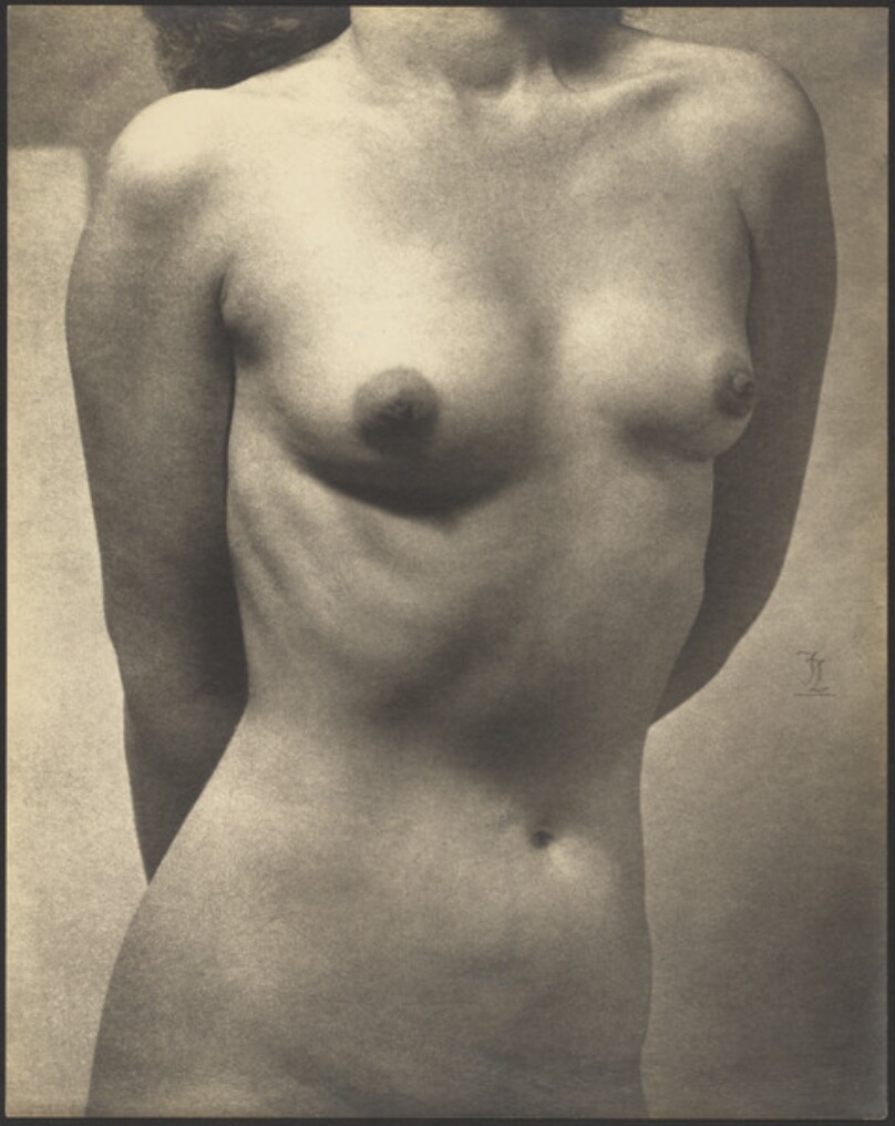 [Female nude]