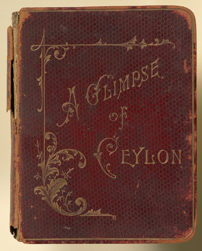 A Glimpse of Ceylon