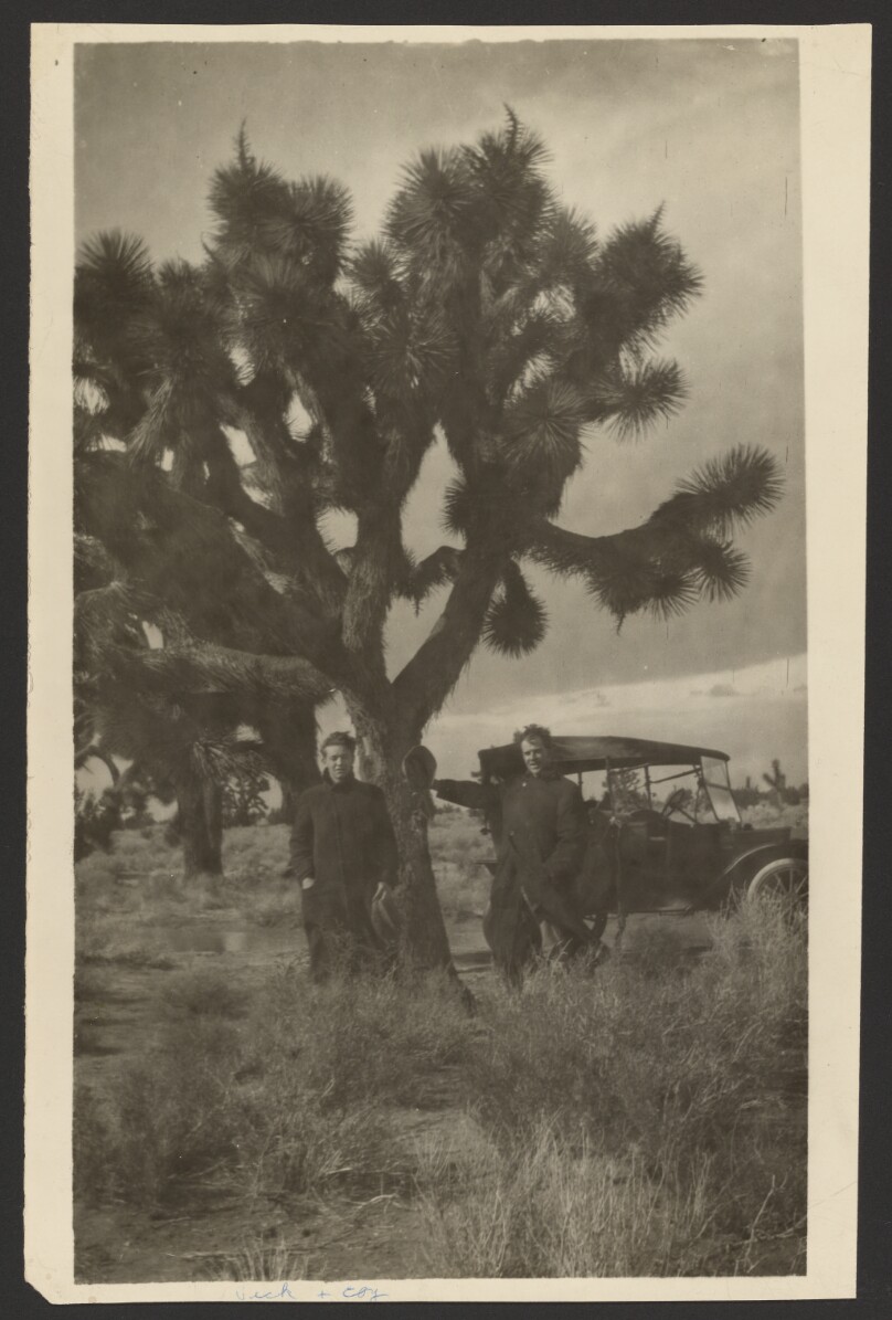 Veck and Coy on desert rabbit hunt