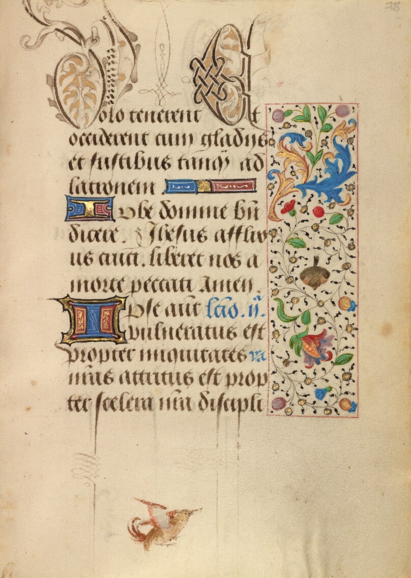 Decorated Text Page