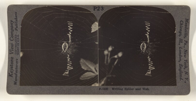 Writing Spider and Web.