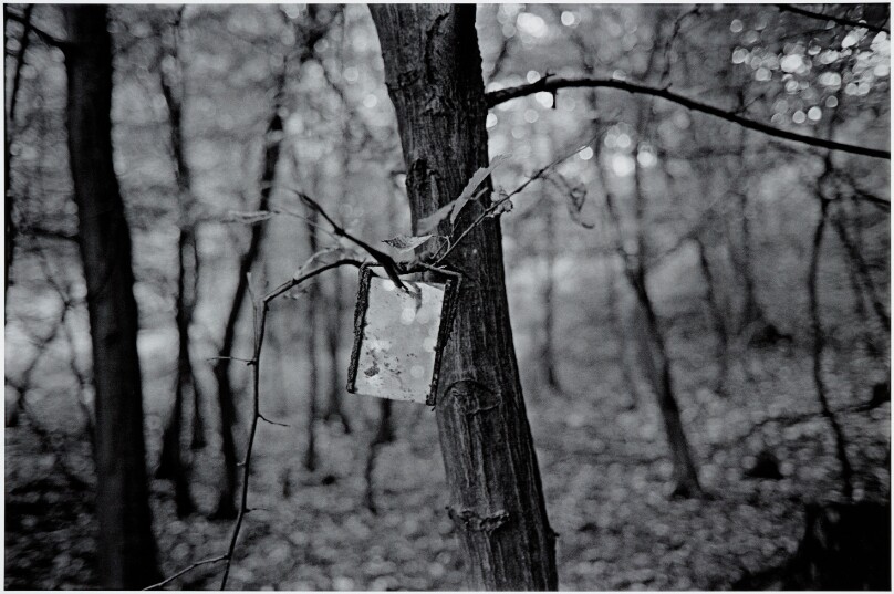 The Trail of Life and Death [I.D.]