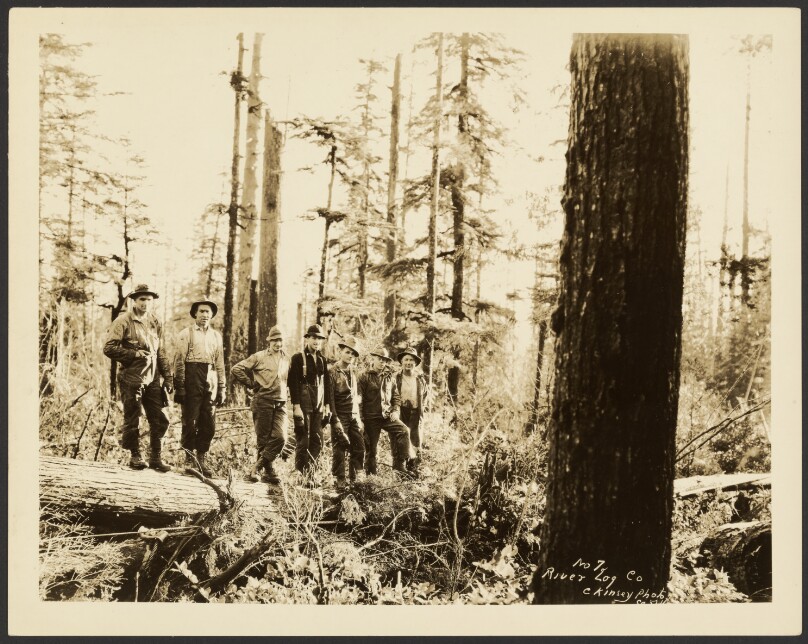 [Loggers]