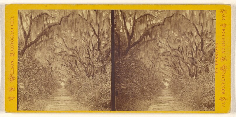 [Bonaventure Cemetery]
