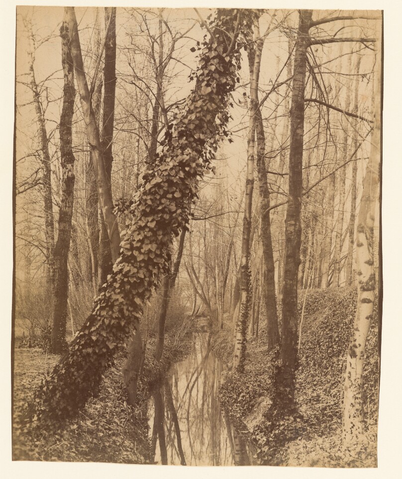 La Bièvre, Boulevard d'Italie
